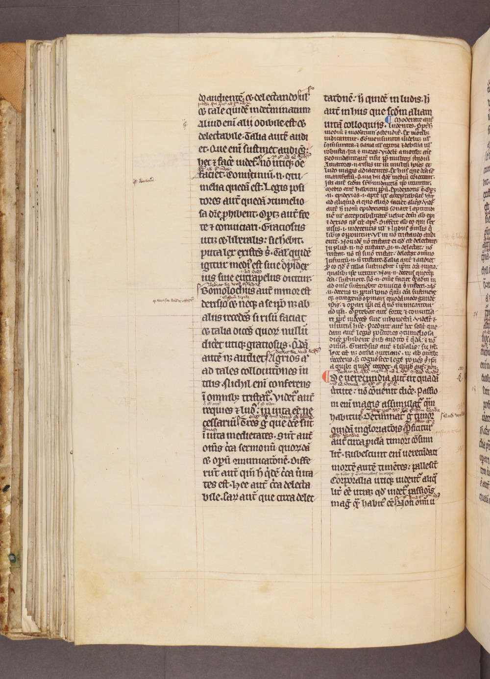 Folio 81 verso